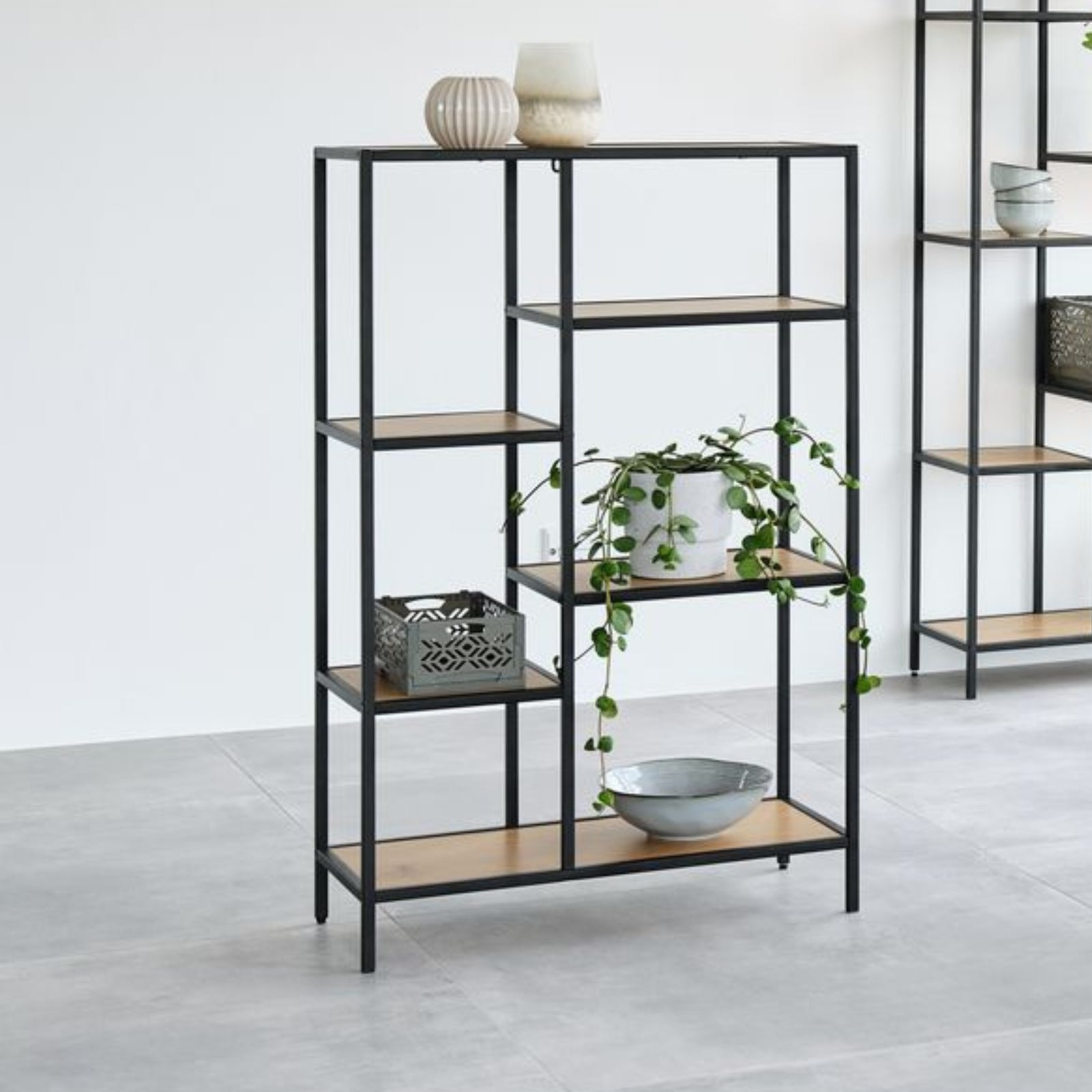 steelside bookcase plants on shelves