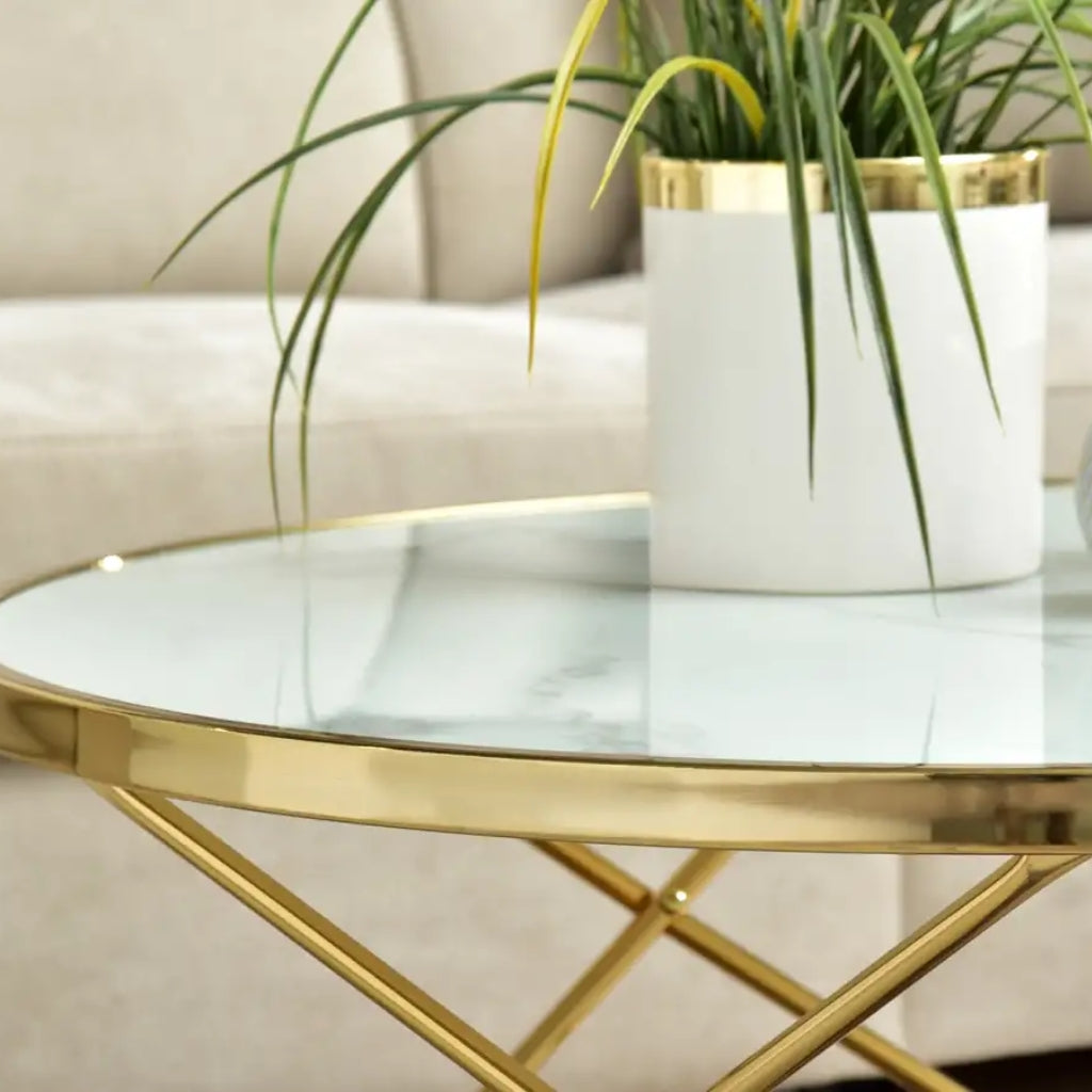 Elegant gold coffee table featuring a plant on Aden white marble top.