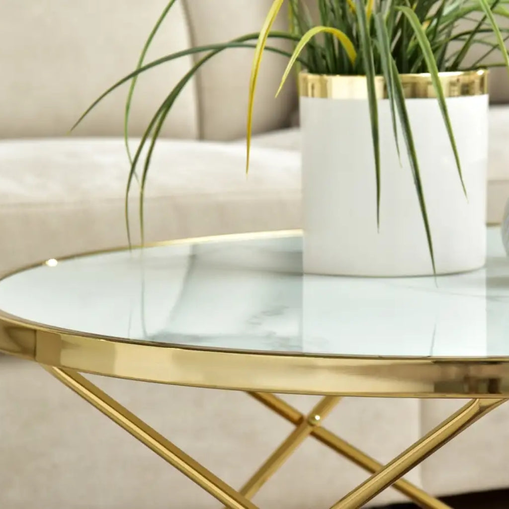 Elegant gold coffee table featuring a plant on Aden white marble top.