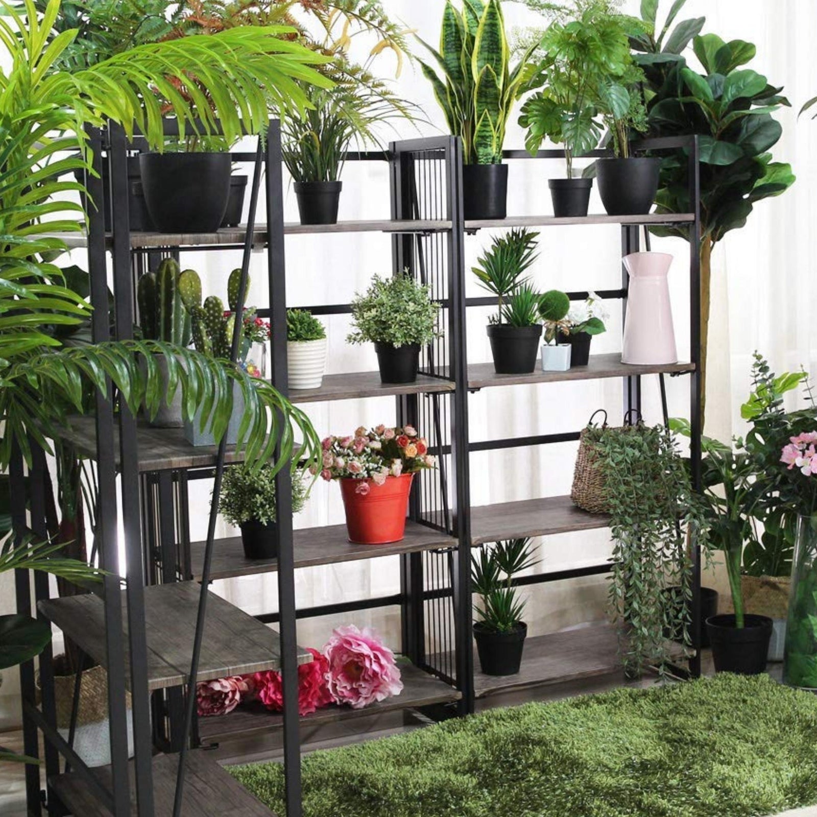 harper bookshelf collection banner